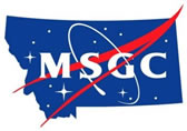 MSGC Small Logo