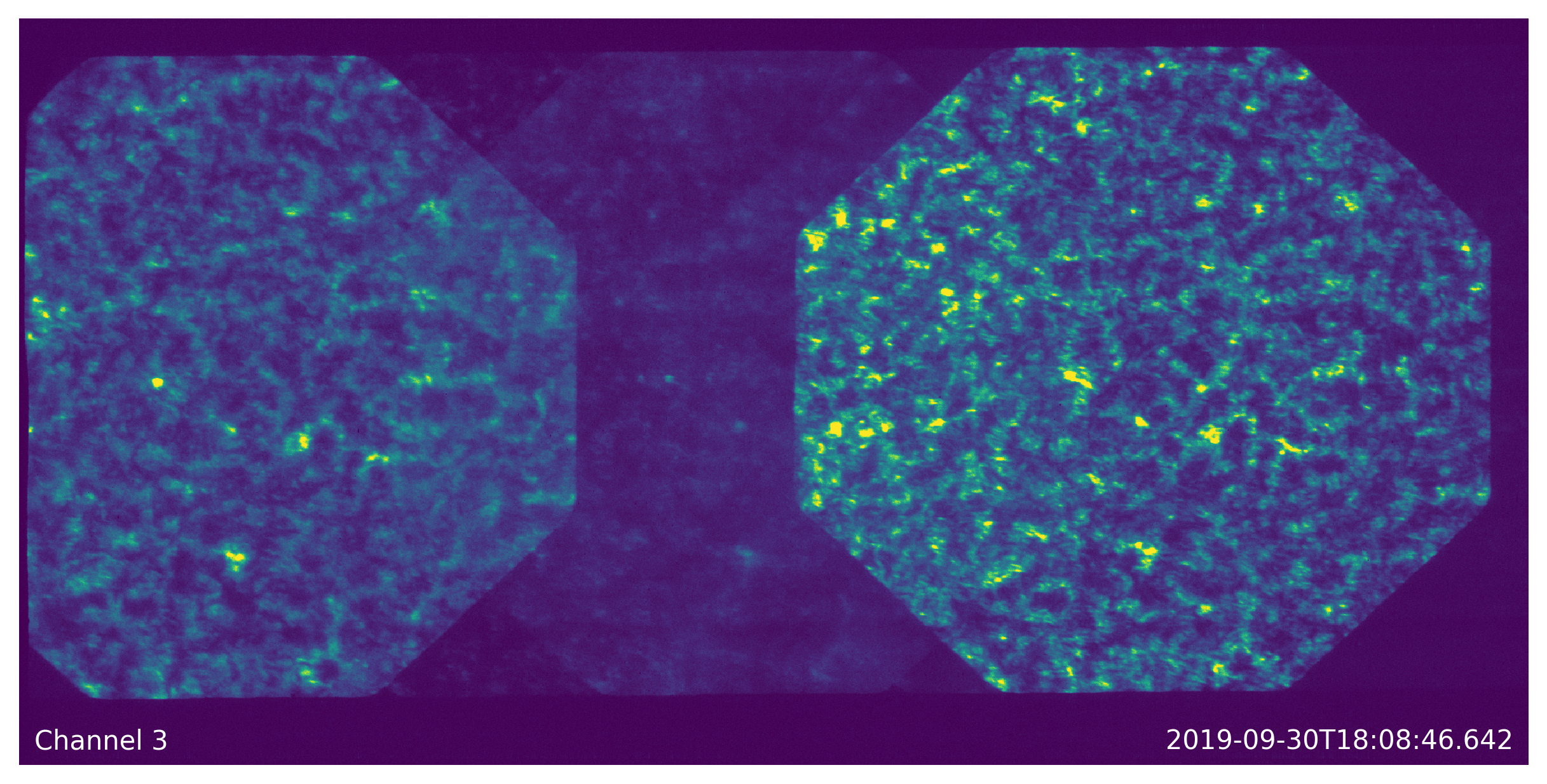 Solar spectral line as seen during the initial flight of ESIS